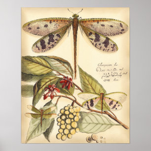 Dragonflies with Leaves and Fruit Poster