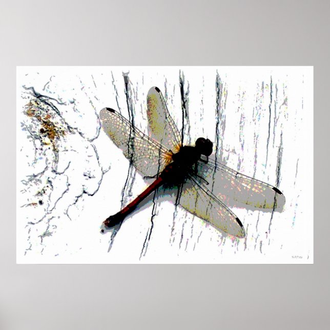 Dragonfly Art Fotografie Poster (Vorne)