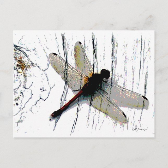 Dragonfly Art Postkarte (Vorderseite)