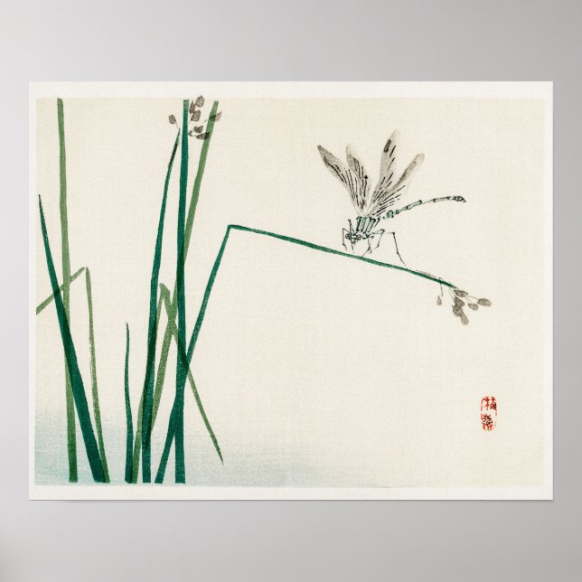 Dragonfly auf Bulrush-Blatt von Kōno Bairei (1844- Poster (Vorne)
