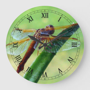 Dragonfly auf der Aloe-Macro-Uhr Große Wanduhr