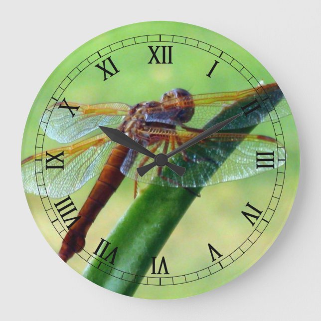 Dragonfly auf der Aloe-Macro-Uhr Große Wanduhr (Vorderseite)