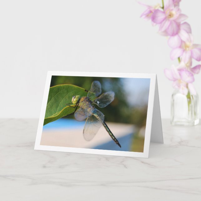 Dragonfly auf der grünen Linke Karte (Orchidee)