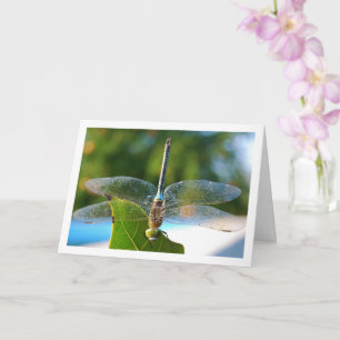 Dragonfly auf der grünen Linke Karte