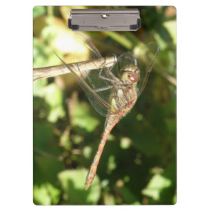 Dragonfly auf der Twig-Clipboard Klemmbrett