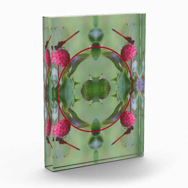 Dragonfly auf Dogwood Frucht kreieren Sie Ihre eig Fotoblock (Links)