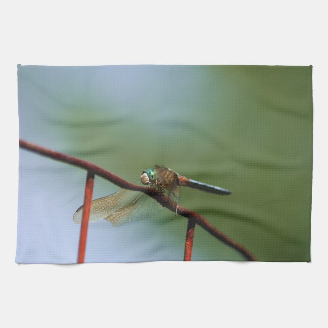 Dragonfly auf Drahtzaun Nah Geschirrtuch (Horizontal)