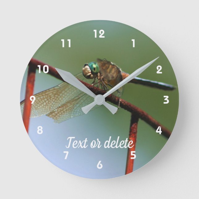 Dragonfly auf Drahtzaun Personalisiert Runde Wanduhr (Vorderseite)