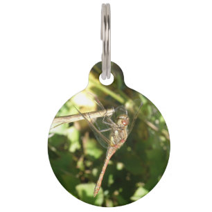 Dragonfly auf einer Twig-Custom-Hundemarke Tiernamensmarke