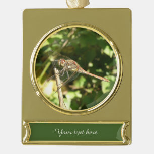 Dragonfly auf einer Twig-Custom-Ornament Banner-Ornament Gold