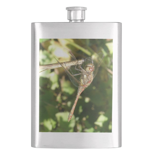 Dragonfly auf einer Twig-Flasche Flachmann (Vorderseite)