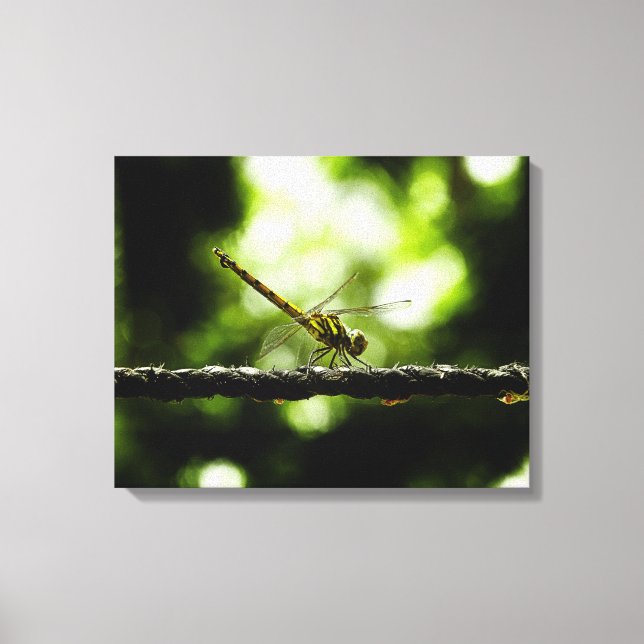 Dragonfly auf Grün - Wrapped Canvas Leinwanddruck (Vorderseite)