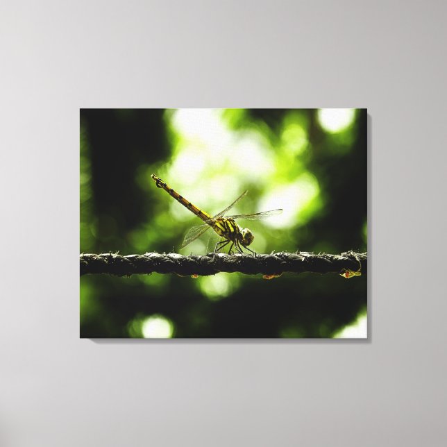 Dragonfly auf Grün - Wrapped Canvas Leinwanddruck (Vorderseite)