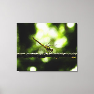 Dragonfly auf Grün - Wrapped Canvas Leinwanddruck