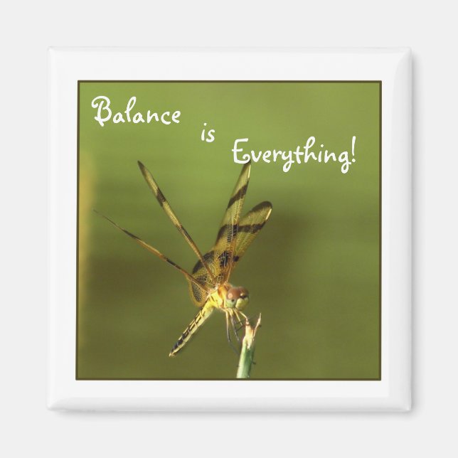 Dragonfly Balance Magnet 2 (Vorne)
