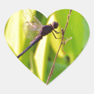 Dragonfly Blau und schwarz auf Gras. Herz-Aufkleber