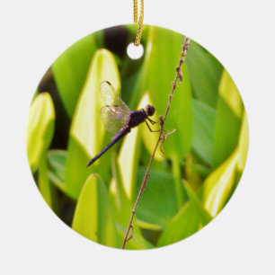Dragonfly Blau und schwarz auf Gras. Keramik Ornament