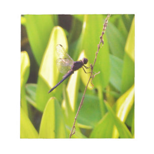 Dragonfly Blau und schwarz auf Gras. Notizblock