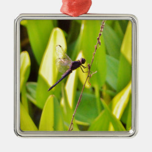 Dragonfly Blau und schwarz auf Gras. Ornament Aus Metall