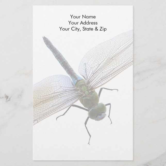 Dragonfly Briefpapier (Vorderseite)
