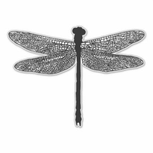 Dragonfly Bug Insect Natur Silhouette Aufkleber