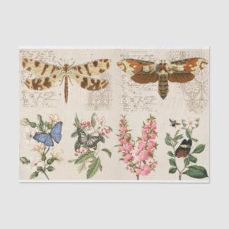Dragonfly Butterfly Moth Blume Seidenpapier