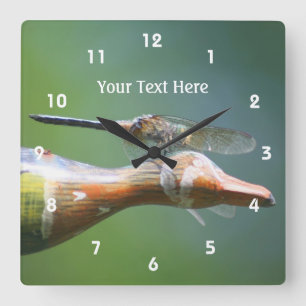 Dragonfly Co Pilot Cute Nature Quadratische Wanduhr