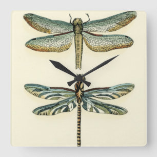 Dragonfly Collection by Chariklia Zarris Quadratische Wanduhr