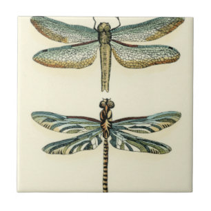 Dragonfly Collection von Chariklia Zarris Fliese