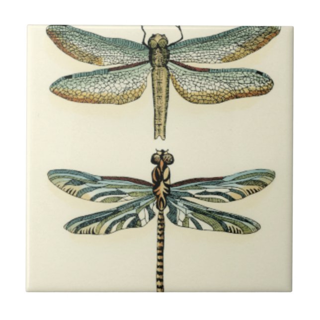 Dragonfly Collection von Chariklia Zarris Fliese (Vorderseite)