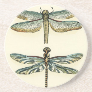 Dragonfly Collection von Chariklia Zarris Getränkeuntersetzer