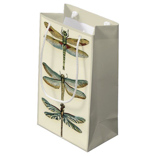 Dragonfly Collection von Chariklia Zarris Kleine Geschenktüte (Rückseite Schrägansicht)