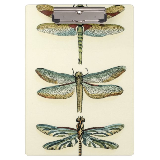 Dragonfly Collection von Chariklia Zarris Klemmbrett (Vorderseite)