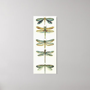 Dragonfly Collection von Chariklia Zarris Leinwanddruck