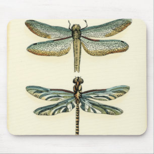 Dragonfly Collection von Chariklia Zarris Mousepad