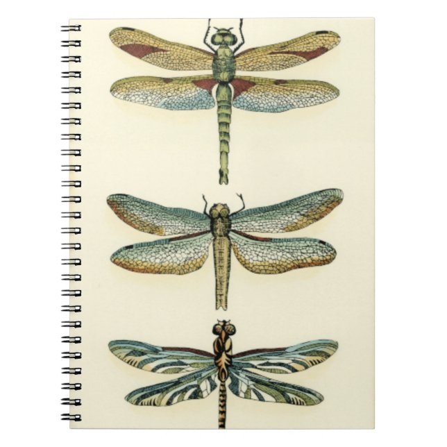 Dragonfly Collection von Chariklia Zarris Notizblock (Vorderseite)