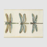 Dragonfly Collection von Chariklia Zarris Seidenpapier<br><div class="desc">Eine Libelle-Sammlung,  die jeden seltsamen Naturfeffer würdig ist,  ein atemberaubendes Stück von Chariklia Zarris. Lege es an deine Wand oder gib es als Geschenk!</div>