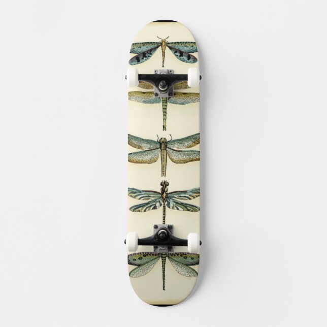 Dragonfly Collection von Chariklia Zarris Skateboard (Vorderseite)