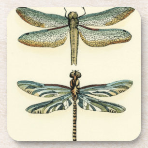 Dragonfly Collection von Chariklia Zarris Untersetzer
