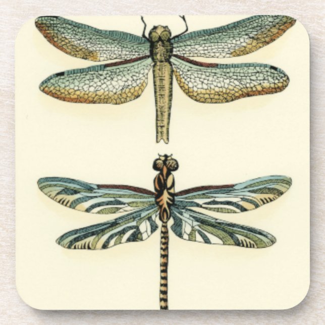 Dragonfly Collection von Chariklia Zarris Untersetzer (Vorderseite)