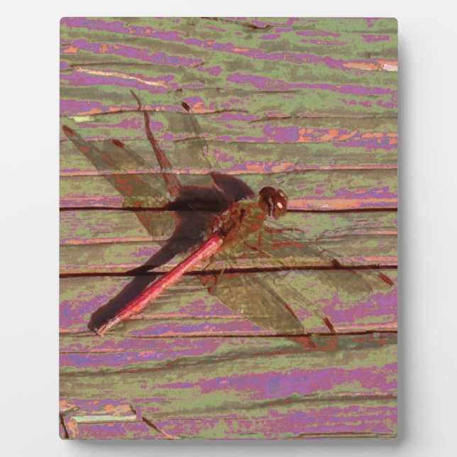 Dragonfly Colorful Plaque Fotoplatte (Vorderseite)