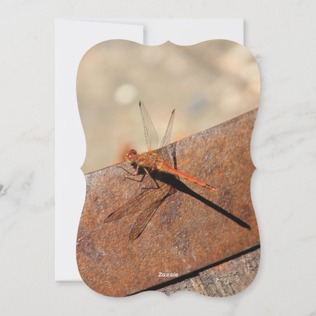 Dragonfly-Design mit Braun Feiertagskarte (Rückseite)