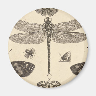 Dragonfly ( Detail) Vintage Kunst Magnet