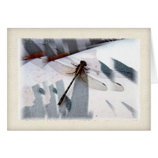 Dragonfly Dimensional Fotografy Art (Vorderseite (Horizontal))