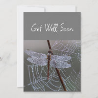 Dragonfly-Drachenfliegen werden bald gut