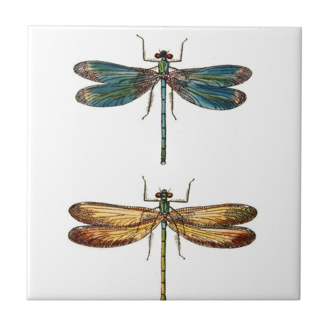 Dragonfly Duo Keramik Fliese (Vorderseite)