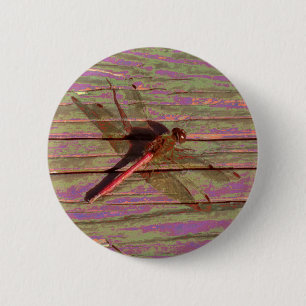 Dragonfly farbenfroh button
