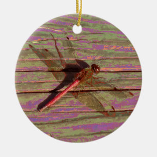 Dragonfly farbenfroh keramik ornament