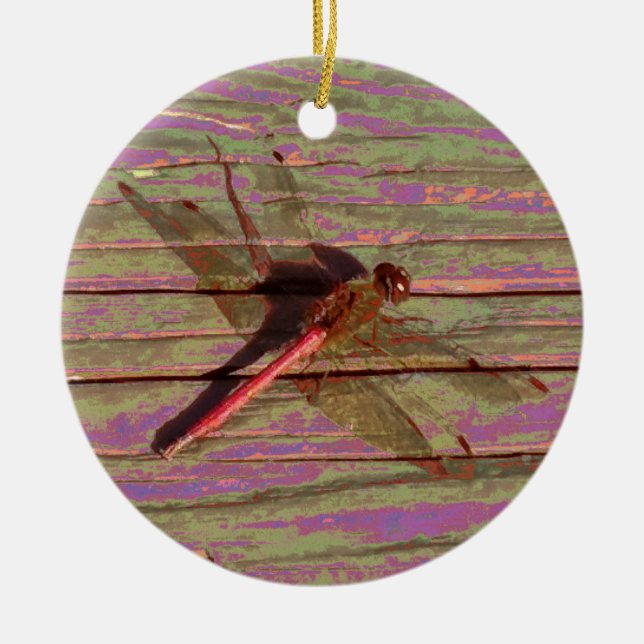 Dragonfly farbenfroh keramik ornament (Vorne)