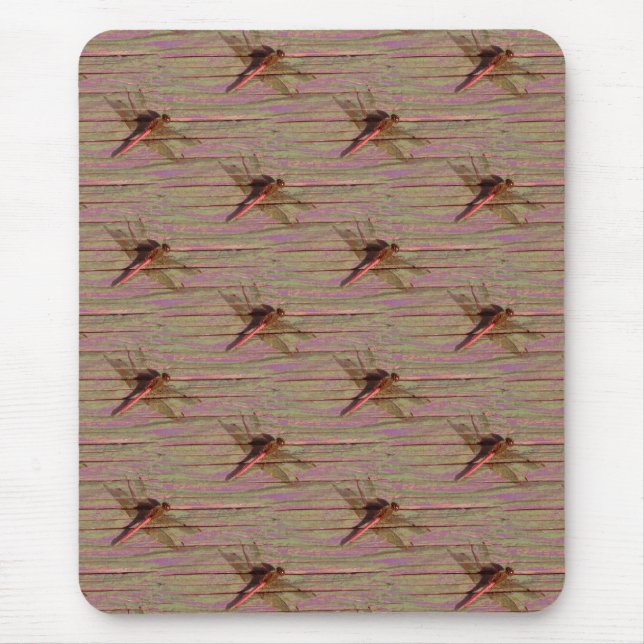 Dragonfly farbenfroh mousepad (Vorne)